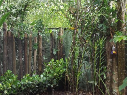 Sean bora praia Sean bora praia