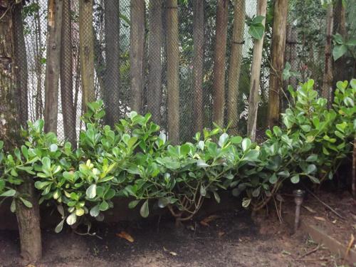 Sean bora praia Sean bora praia