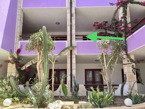 Two Bedrooms, Wifi, Near Beach - Ca Greta, Sal Rei (photo 9)