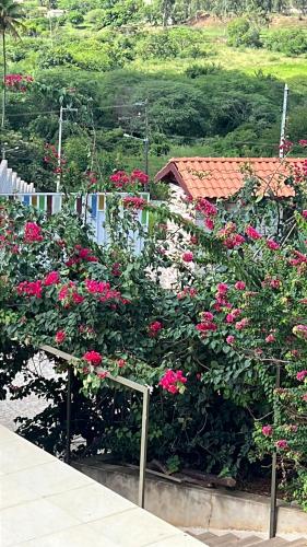 Pousada Várzea Grande