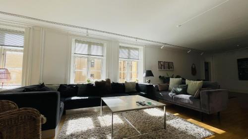 ApartmentInCopenhagen Apartment 1502, Copenaghen (foto 3)