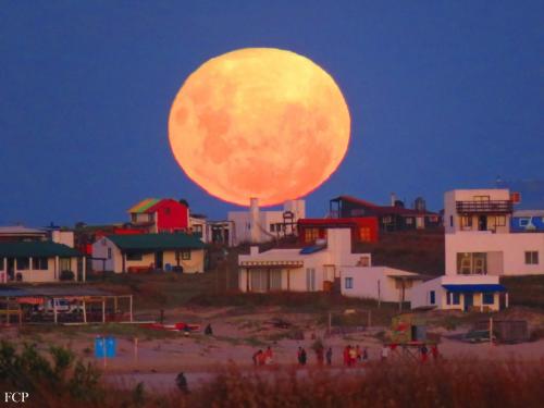المنطقة المحيطة, Lobo Hostel Bar in Cabo Polonio
