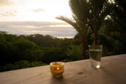 Puravidovo, ocean view, hill side in Pavones