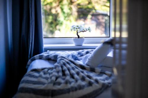 Comfy Home-Vimy Road, Birmingham (fotografie 9)