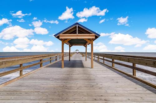 Amelia The Sea - 558 ASea Amelia The Sea - 558 ASea