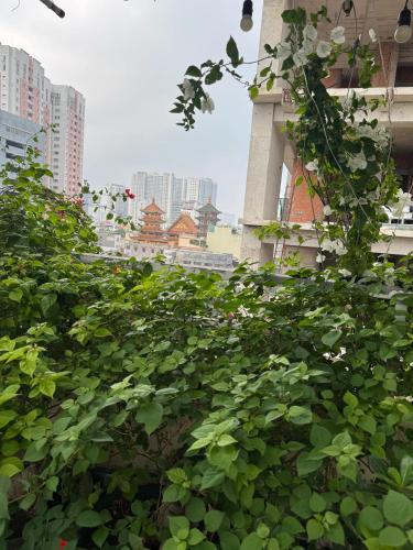 Vũ Bình homestay - 정원