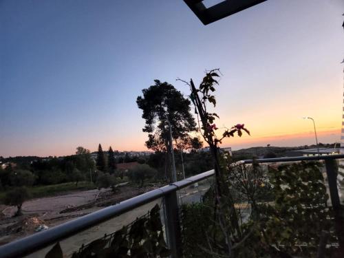 שלווה בגליל in Maalot Tarshiha