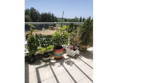 שלווה בגליל in Maalot Tarshiha