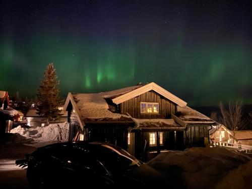 Bjønnhiet Bjønnhiet