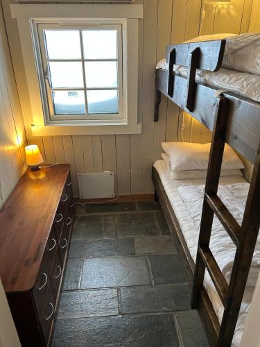 Bjønnhiet Bjønnhiet