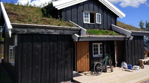 Bjønnhiet Bjønnhiet