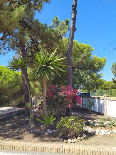 El Paraiso El Paraiso