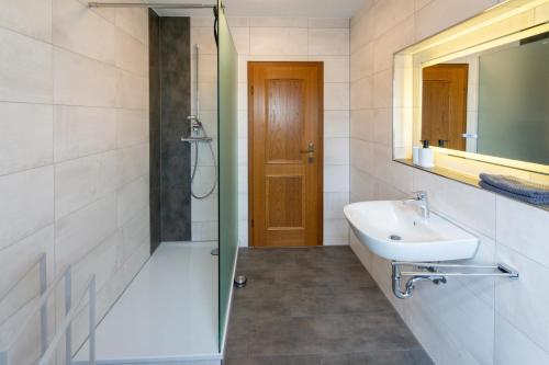 Apartment with Terrace image 7