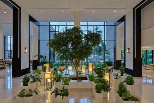 avla, The St. Regis Aruba Resort in Palm Beach