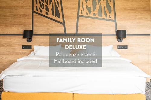 Amenity Hotel & Resort Orlické hory - image 7