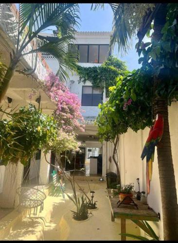 Garden, casa real in Torices