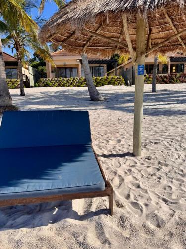 Apkārtne, Luxurious Beachfront house-Villa 44 in Bilene