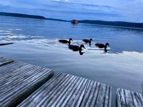 Kilátás, Finnhütte Seenland (Finnhutte Seenland) in Wustrow