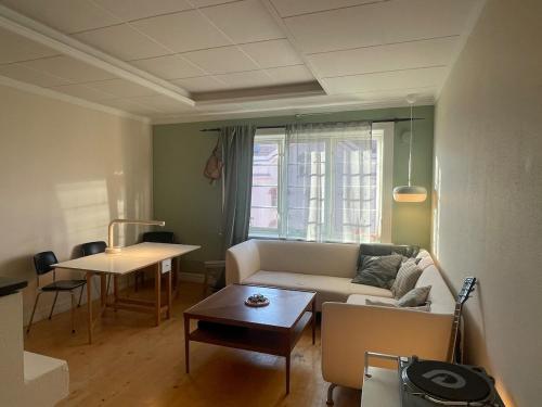 Cozy apartment close to the city center, Oslo (foto 2)