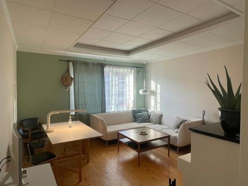 Cozy apartment close to the city center, Oslo (foto 9)