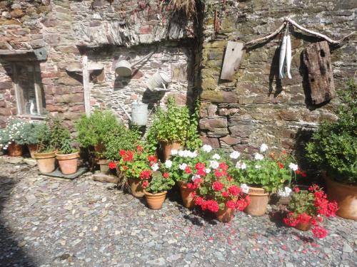 Rame Barton Guest House and Pottery