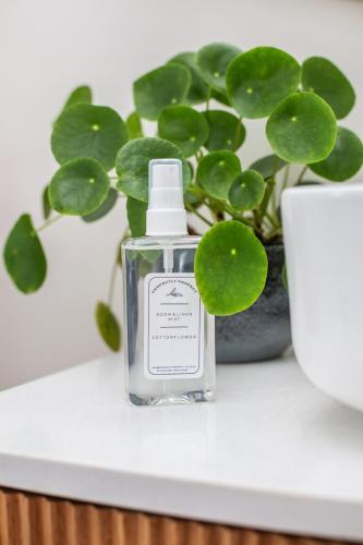 Charming HoutBay Hideaway - Pool