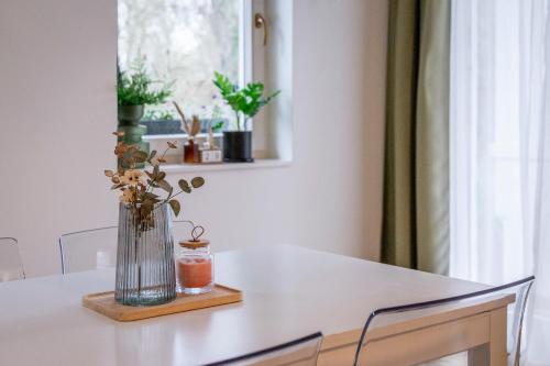 Birdie apartman in Zalacsany