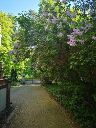 Gründerzeitvilla in Berlin Zehlendorf, Berlín (fotografie 7)