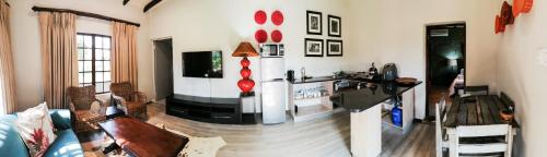 Emdoneni Lodge with Zululand Cat Conservation Project Emdoneni Lodge with Zululand Cat Conservation Project