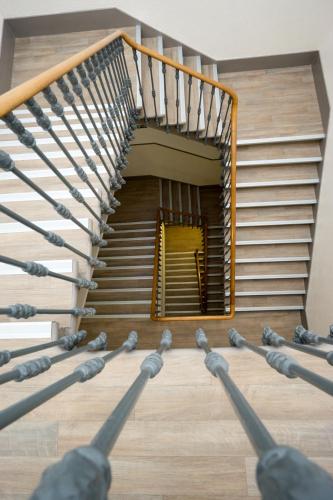 Estrela de Arganil - Luis Simões & Conceição Lda - image 12