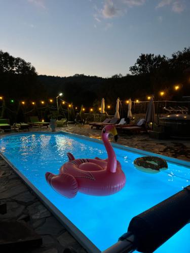 Pensiunea PORTAS RESORT Pensiunea PORTAS RESORT