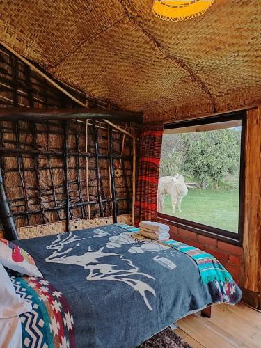 Wasi Andina Lodge in Latacunga