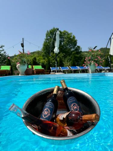 Pensiunea PORTAS RESORT Pensiunea PORTAS RESORT