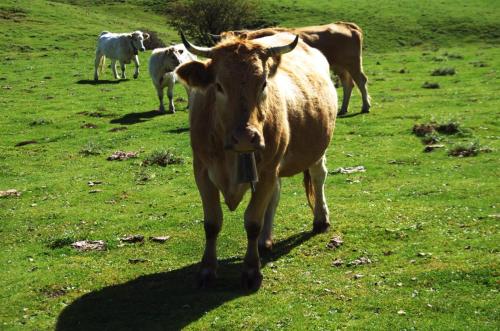 運動及活動, Agriturismo Demetra, b&b Demetra in 帕杜拉