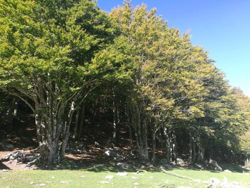 運動及活動, Agriturismo Demetra, b&b Demetra in 帕杜拉