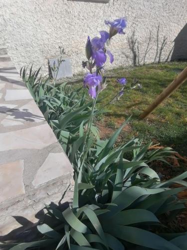 Gîte les iris Laroque 34 DOUBLON (Gite les iris Laroque 34 DOUBLON) in Ganges