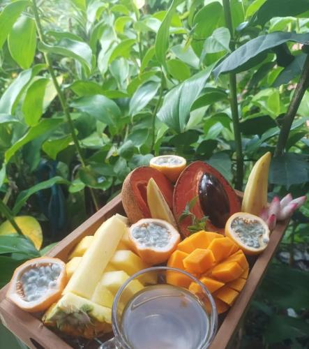 Camping à la ferme Camping à la ferme