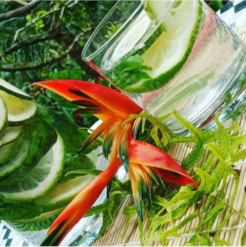 Camping à la ferme Camping à la ferme