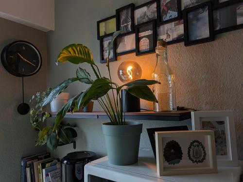 Charming apartment in a great location, Strasburgo (foto 6)