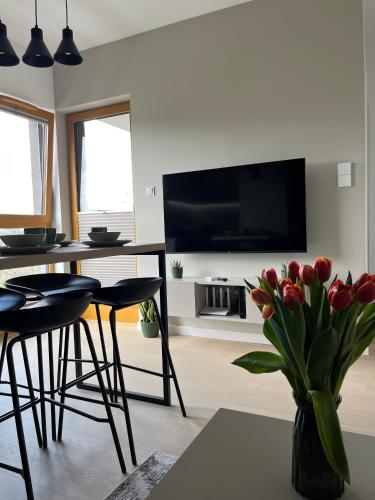 Tropical Novum Apartment - Krakow Old Town, Cracovia (foto 11)