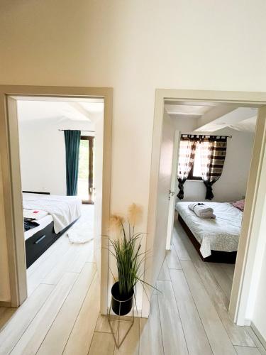 Apartman Lida in Marcelji
