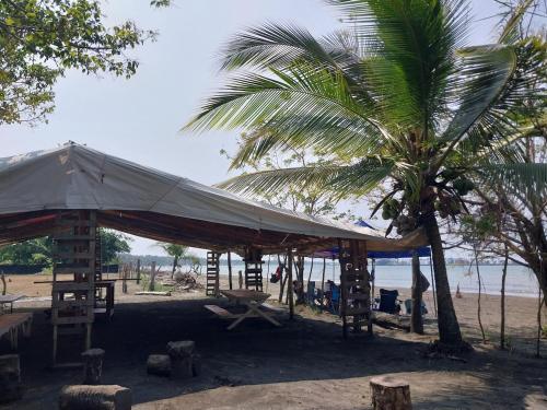 ทัศนียภาพ, Apartamento de playa del Caribe in เปอร์โต้ ลิมอน