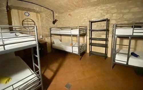 Alba Hostel, Praha (fotografie 5)