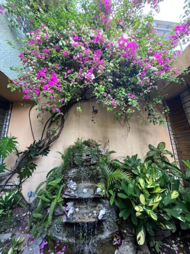 Hostal Cumbres de El Salvador – San Salvador, MA