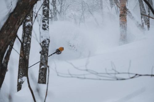 Ainu Lodge, Kamikawa (fotografie 10)
