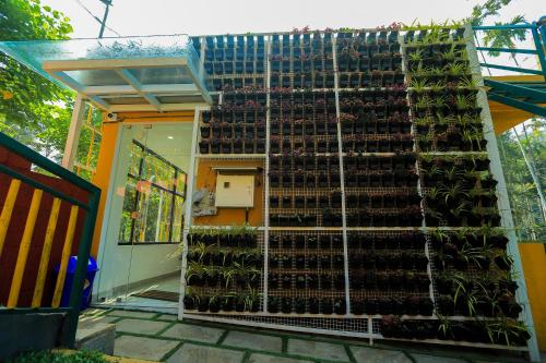 By the stream resort wayanad in Vellamunda