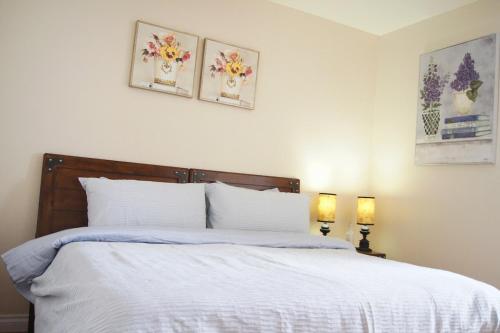 Single Story Beautiful home