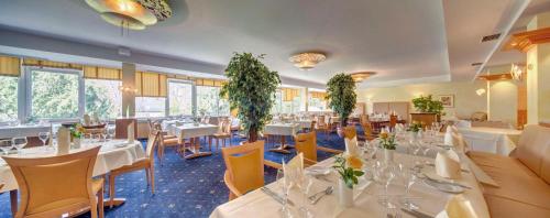 餐飲選擇, 斯騰斯伽藤貝斯特韋斯特普拉斯酒店 (Best Western Plus Hotel Steinsgarten) in 基森
