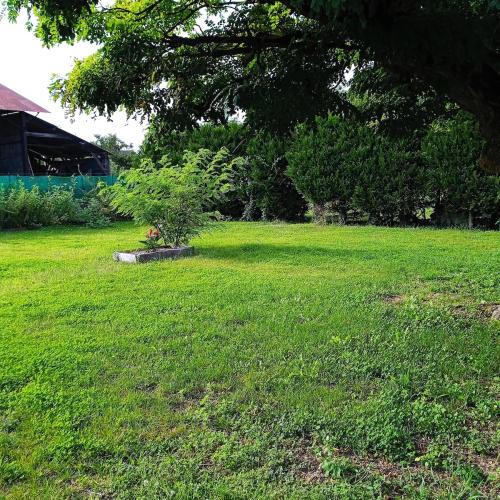 Le jardin caché, maison indépendante classée 3 étoiles (Le jardin cache, maison independante classee 3 etoiles) in Шарет-Варен