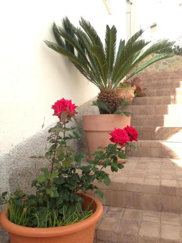 Casa Justa - image 14